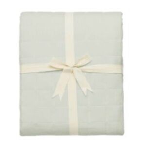 Aloe Kyte Adult Blanket